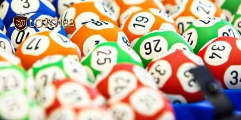 Loto188