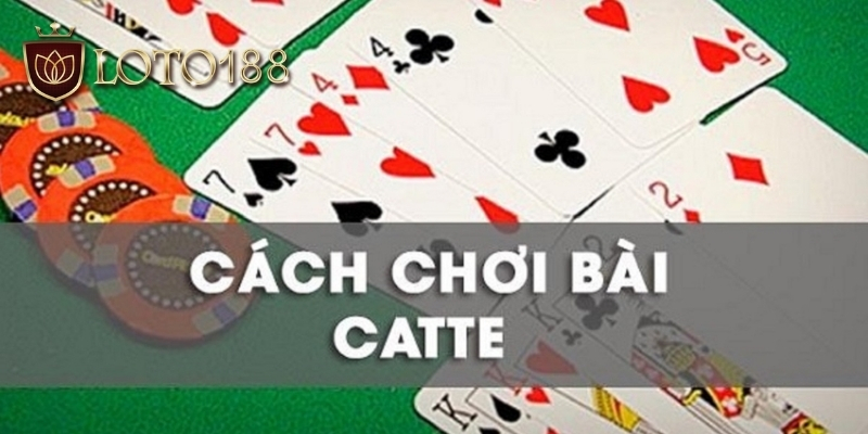 Giới thiệu về trò chơi bài catte